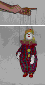 Kép